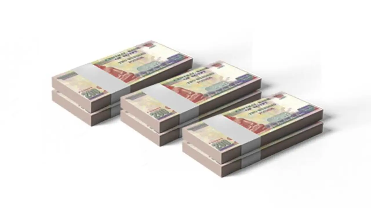 القروض الشخصية تتصدر نمو محفظة التجزئة في بنك الإمارات دبي الوطني مصر 2025